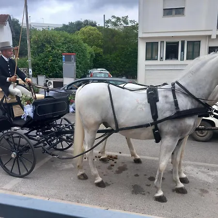 Сasa de vacaciones Il Taverniere Dei Trulli *
