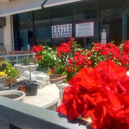 Il Taverniere Dei Trulli Hébergement de vacances *